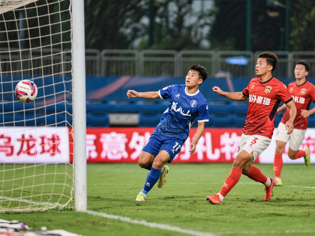 往往只把注 往往只把注